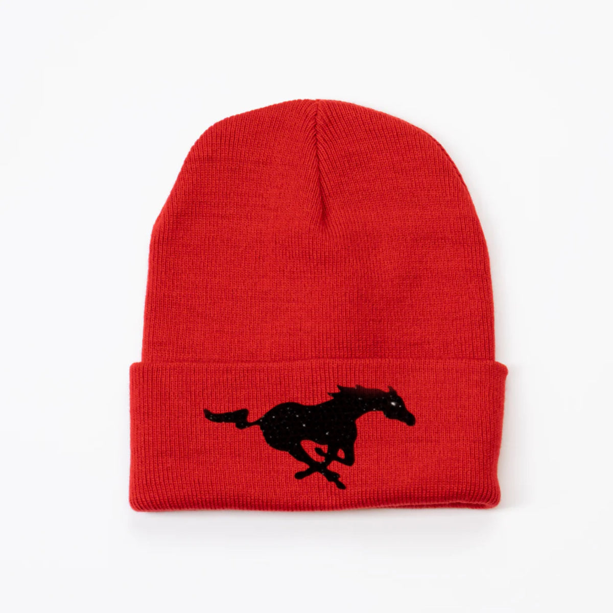 NS Beanie