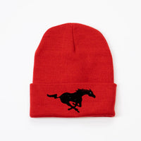 NS Beanie