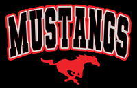 Mustangs tee
