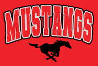 Mustangs tee